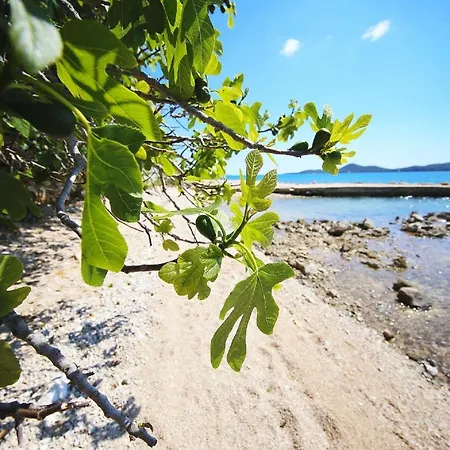 Dom wakacyjny Mobile Safir