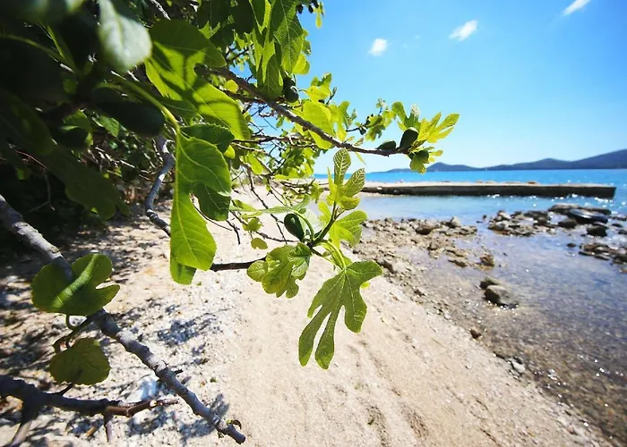 Vikendica Mobile Safir